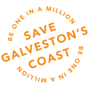 Team Page: Katie's Team